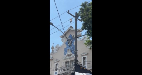 Feira Autônoma Vascaína celebra 99 anos de São Januário com fotos e vídeos especiais