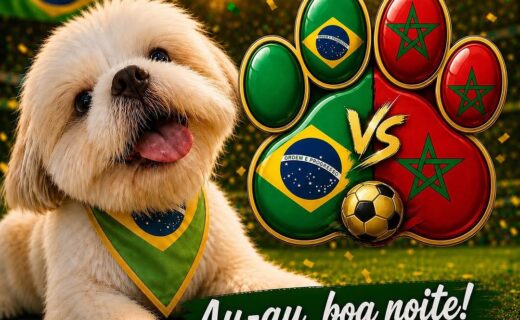 Copa do Mundo: Rayan coloca cachorro em creche na Inglaterra