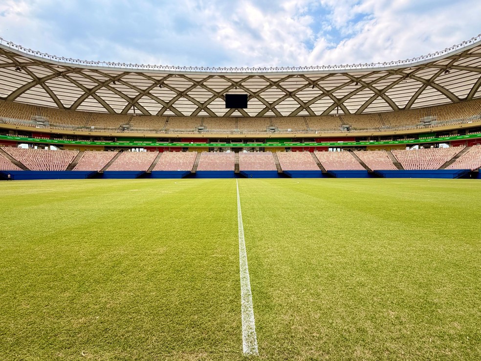 Gramado Arena da Amazônia. — Foto: Divulgação